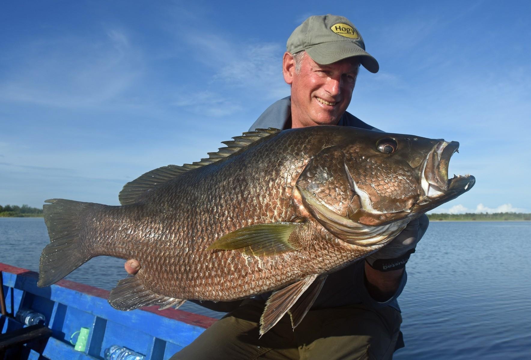 pap bass (12).jpg