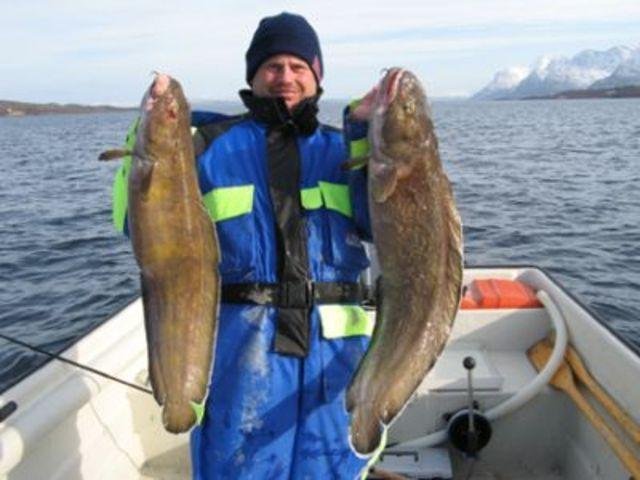 dypi_fs_03.jpg