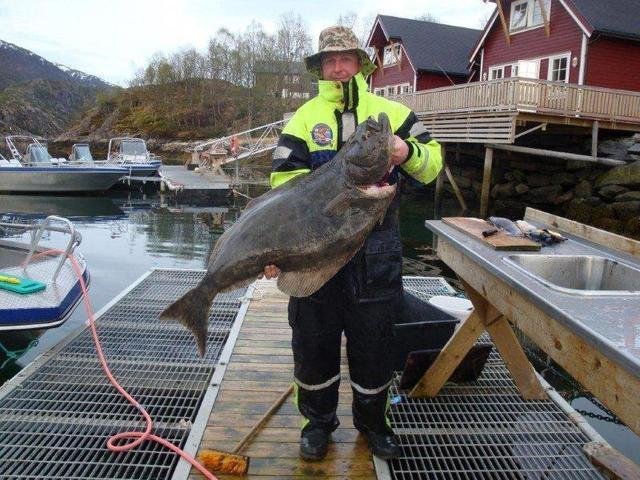 Efjord_2013_halibut_web.jpg