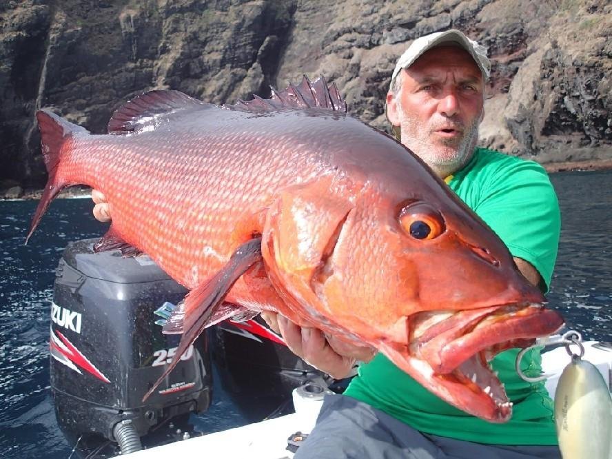 Carpe rouge dumbell Popper.jpg