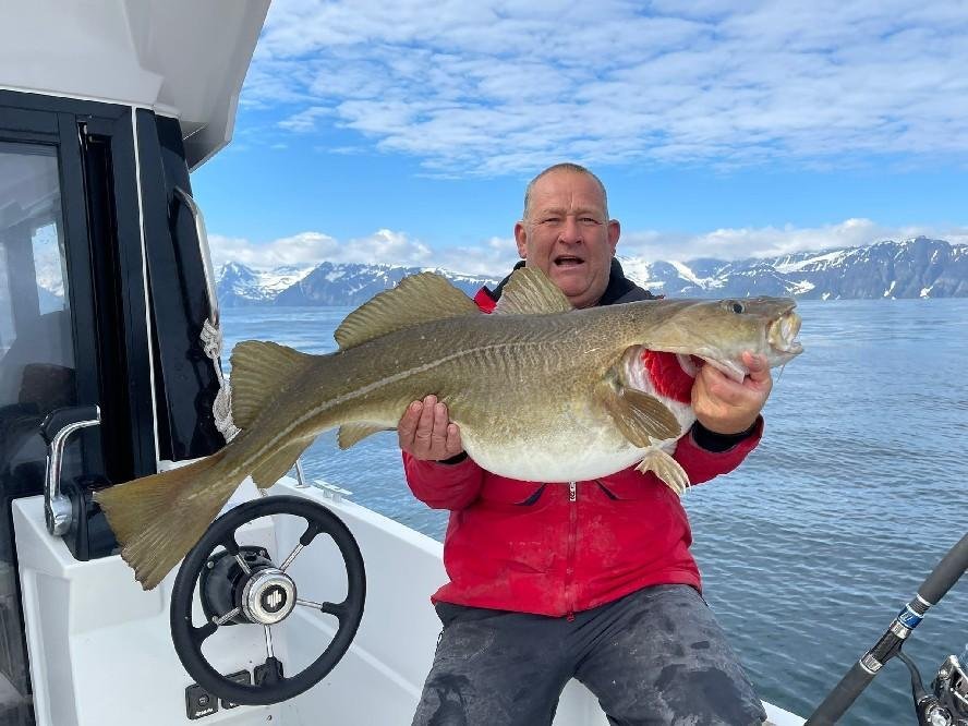 WhatsApp Image 2022-06-17 at 9.24.10 PM.jpg