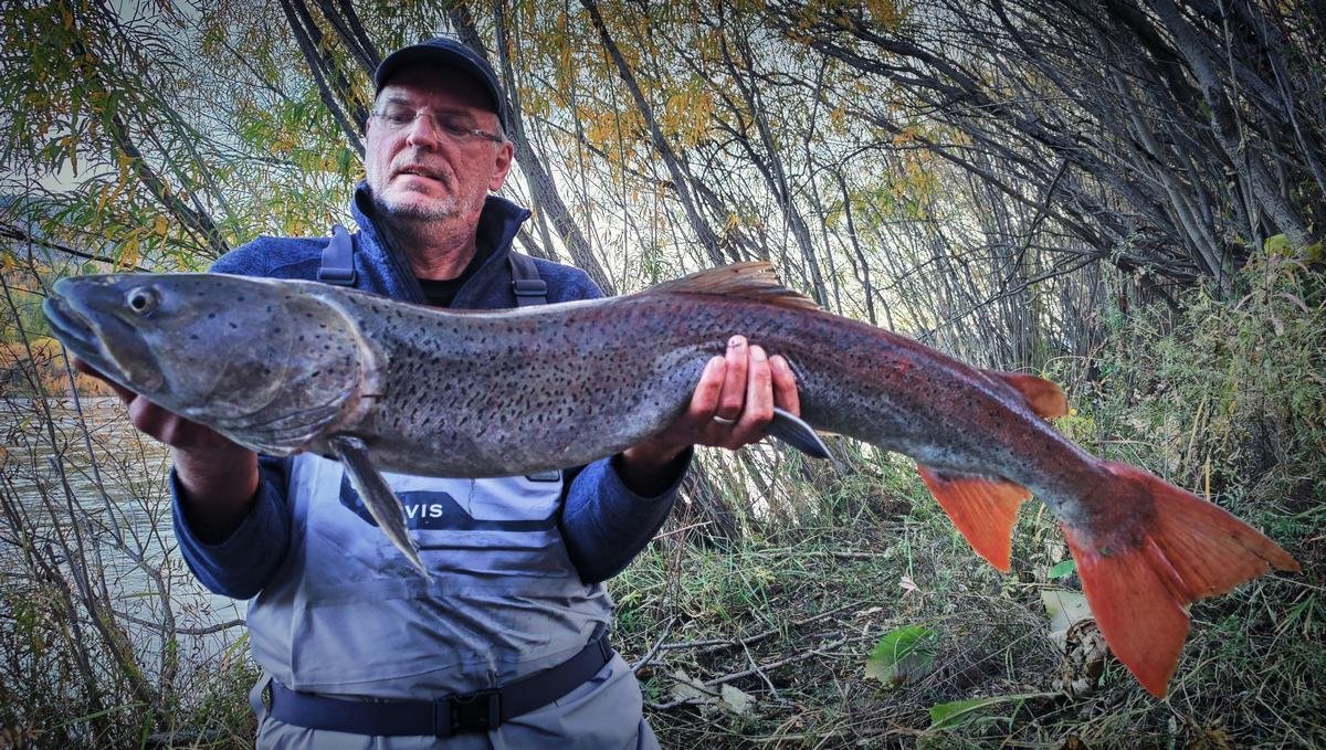 q1. de apotheose - 113cm!.jpg